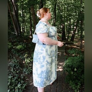 Cider Curve Toile Dress